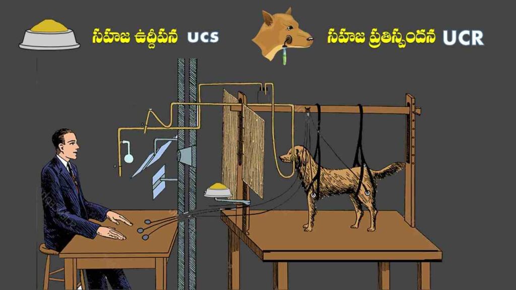 Classical Conditioning Theory telugu