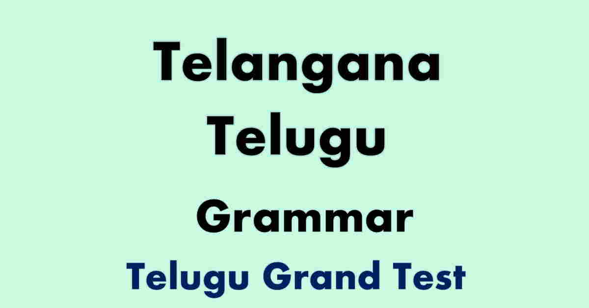 ts telugu Grammar bits